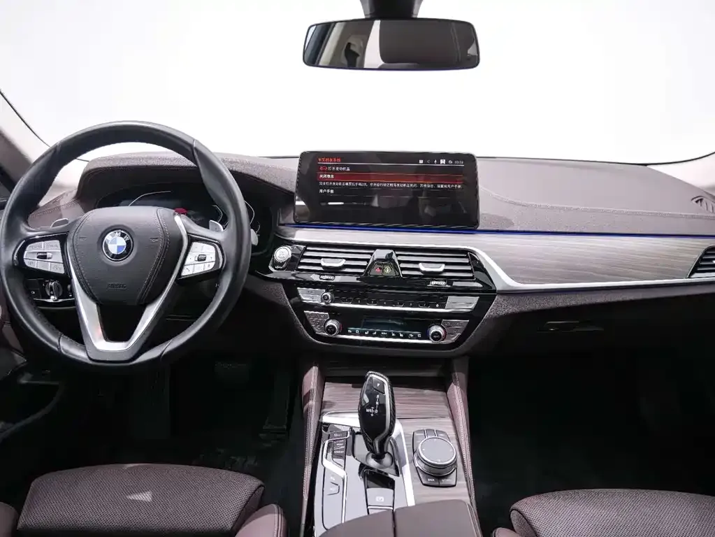 BMW 5 Series 2022 из CN, фото 10