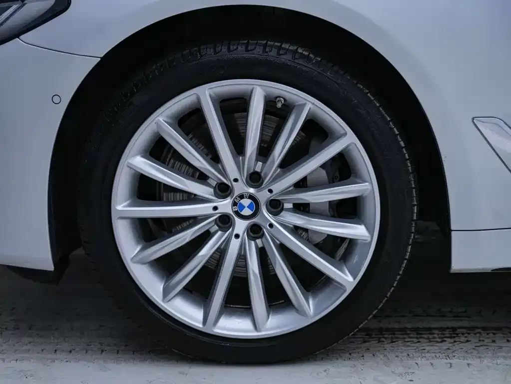 BMW 5 Series 2022 из CN, фото 8