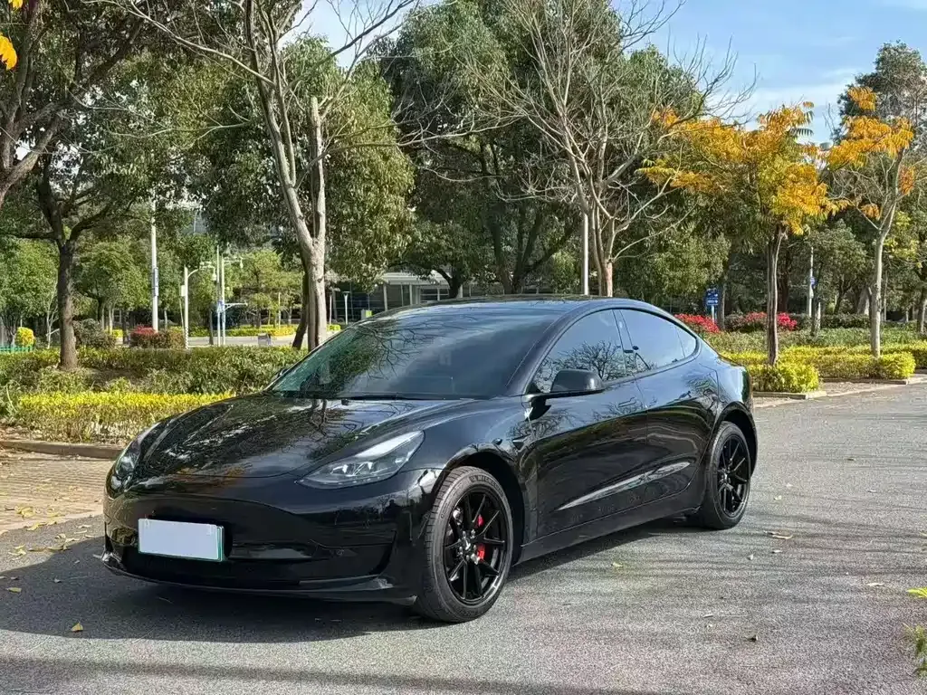 Tesla Model 3 — фото 1
