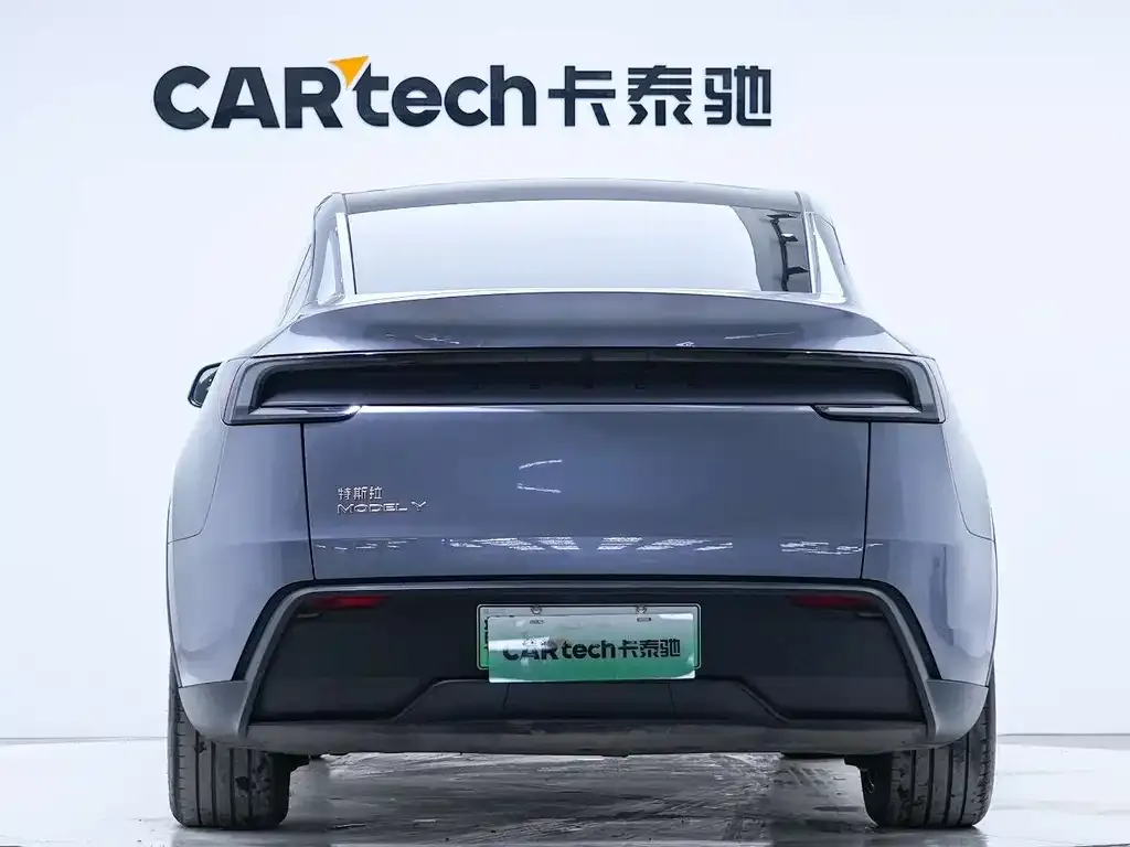 Tesla Model Y — фото 10