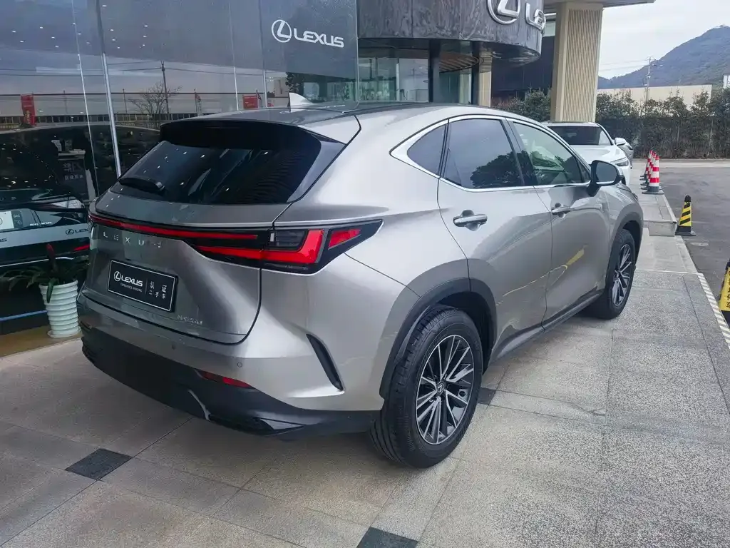 Lexus NX — фото 4