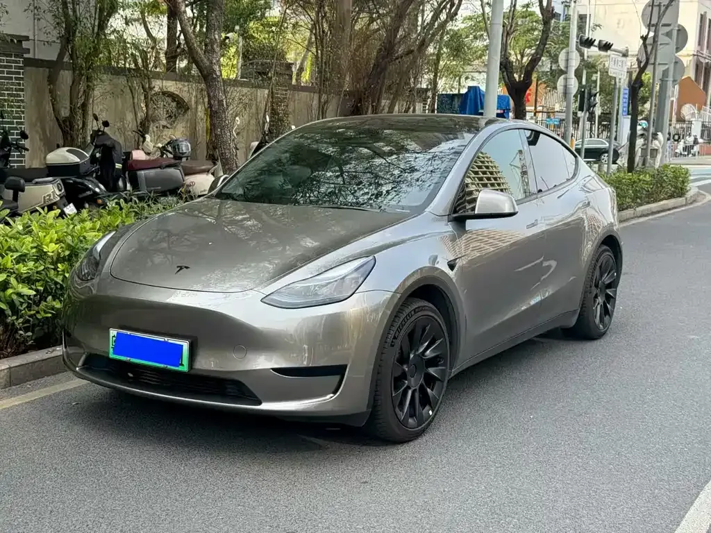 Tesla Model Y — фото 1