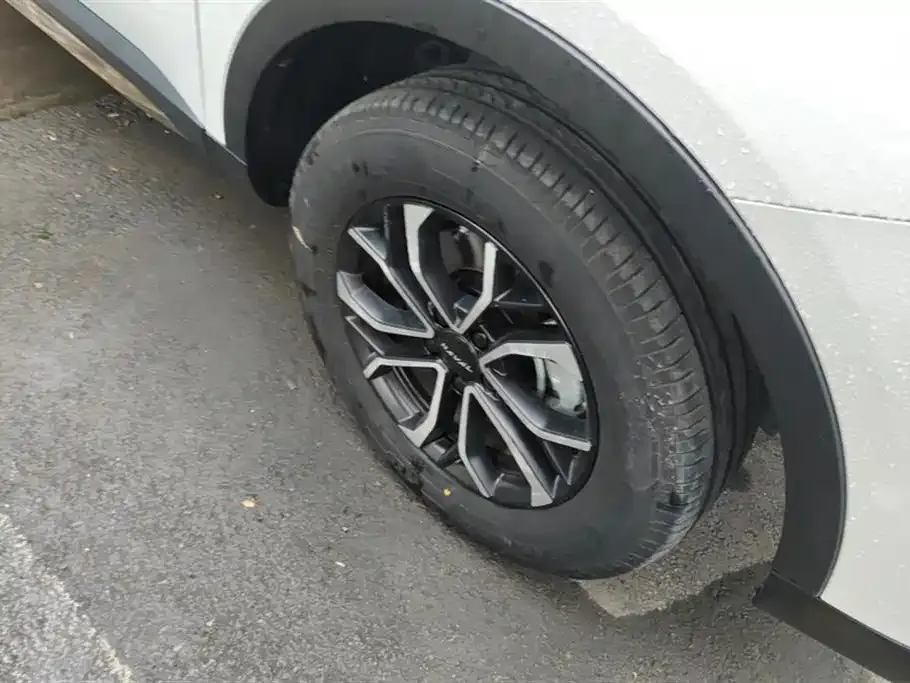 Haval H6 2024 из CN, фото 8