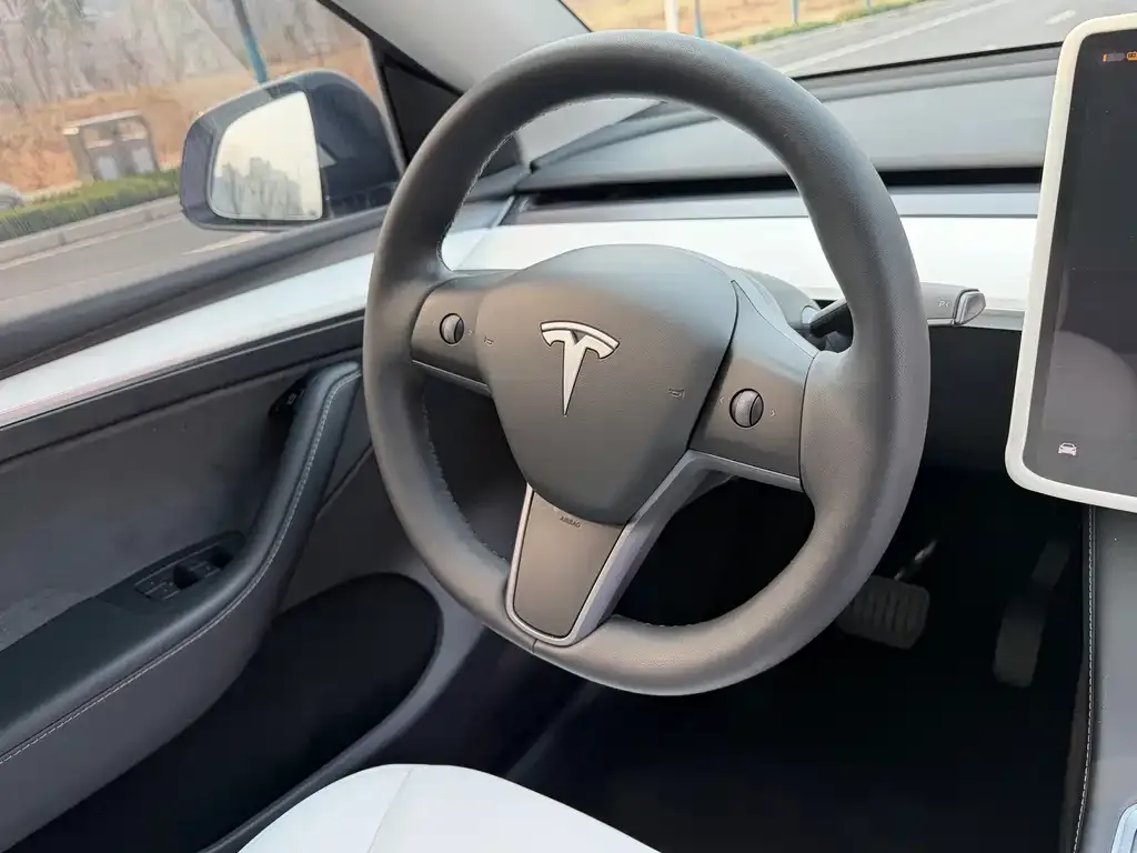 Tesla Model 3 — фото 2