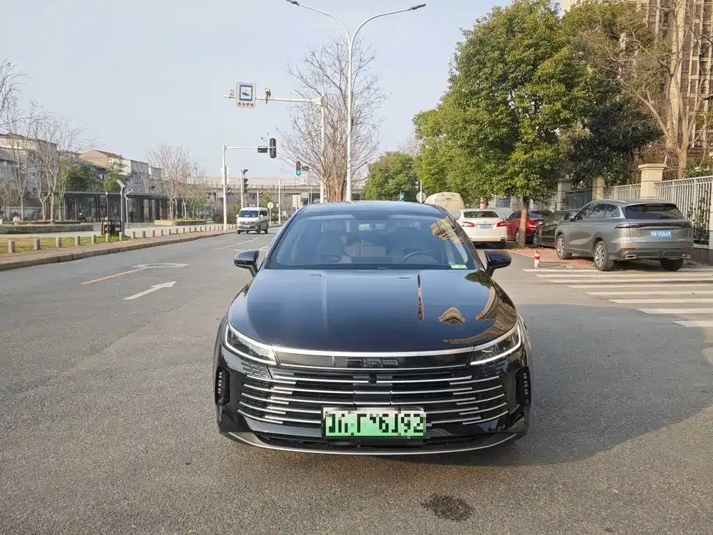 BYD Destroyer 05 — фото 10