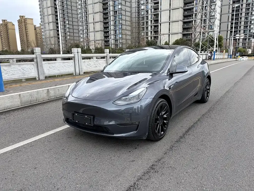 Tesla Model Y — фото 1