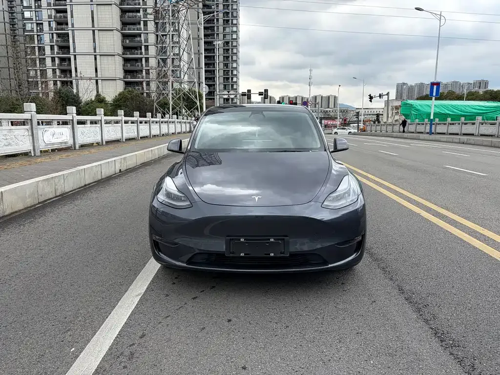 Tesla Model Y — фото 10