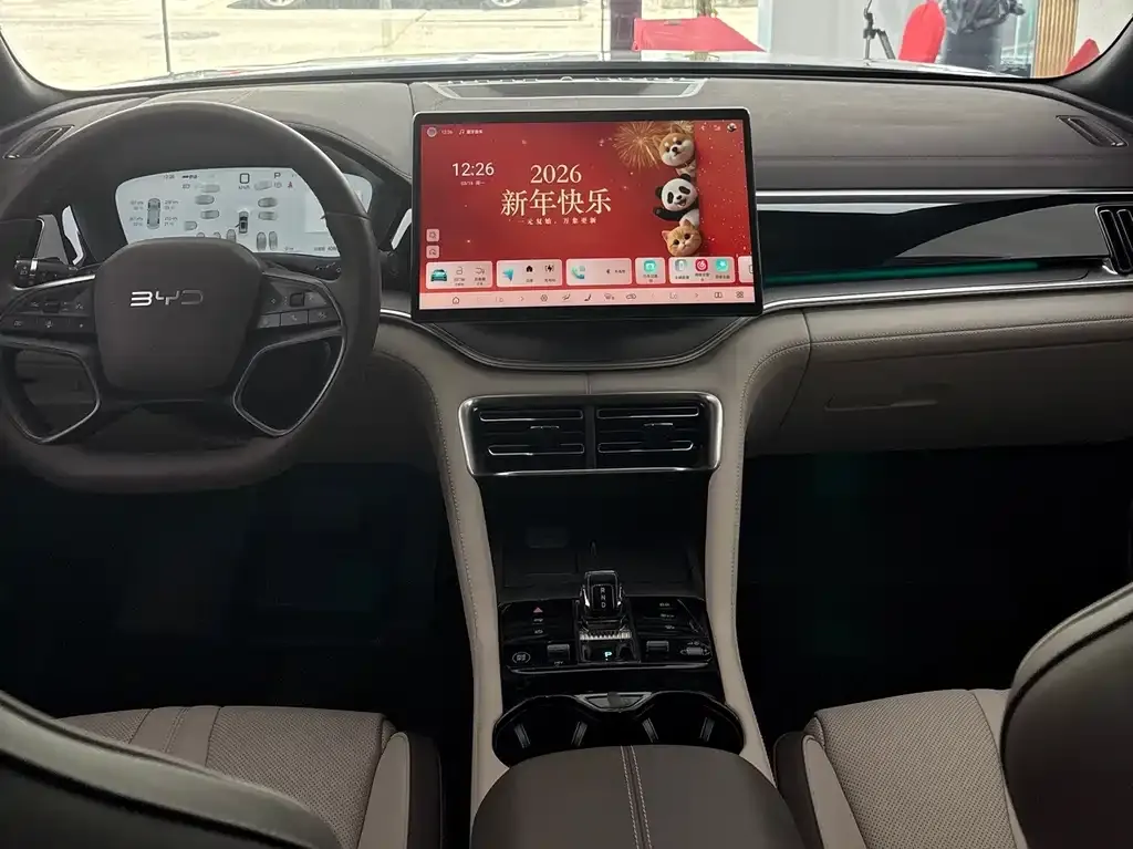BYD PLUS New Energy — фото 7