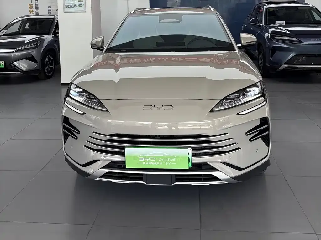 BYD PLUS New Energy — фото 9