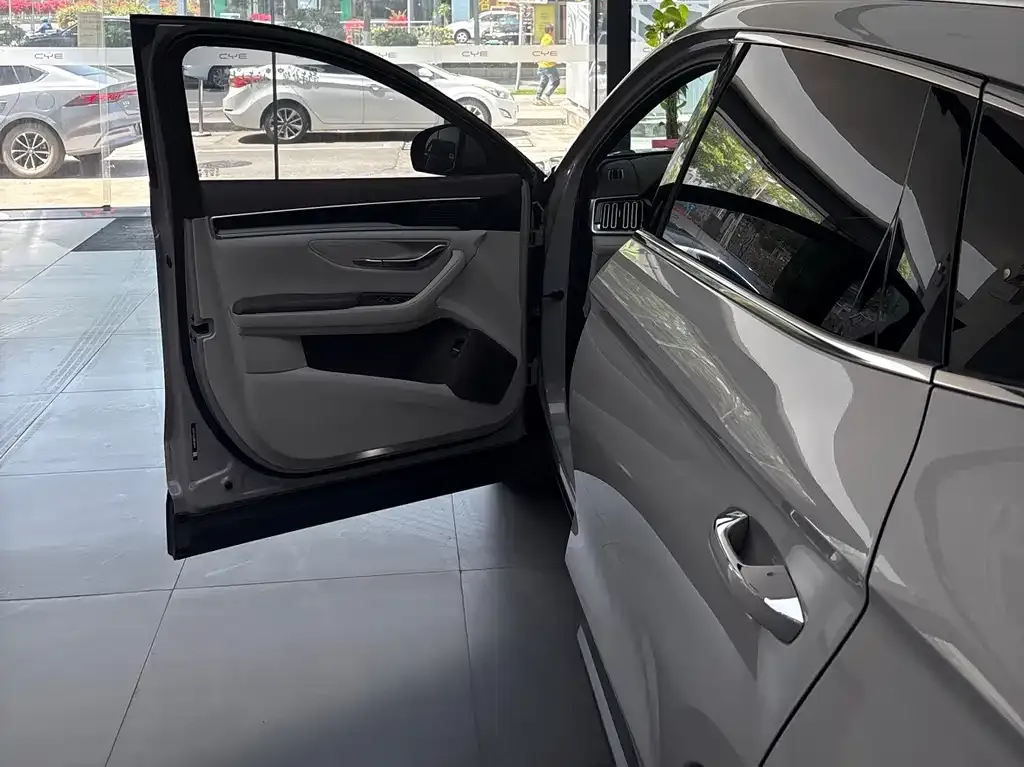 BYD PLUS New Energy — фото 10