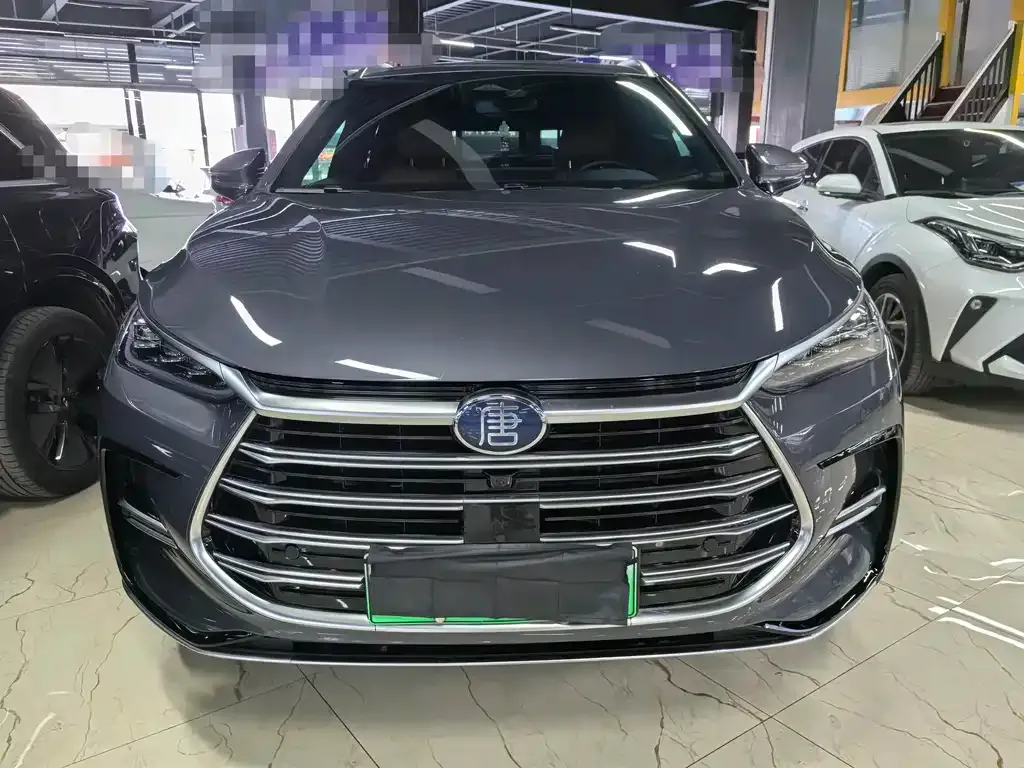 BYD Tang New Energy 2024 из CN, фото 6