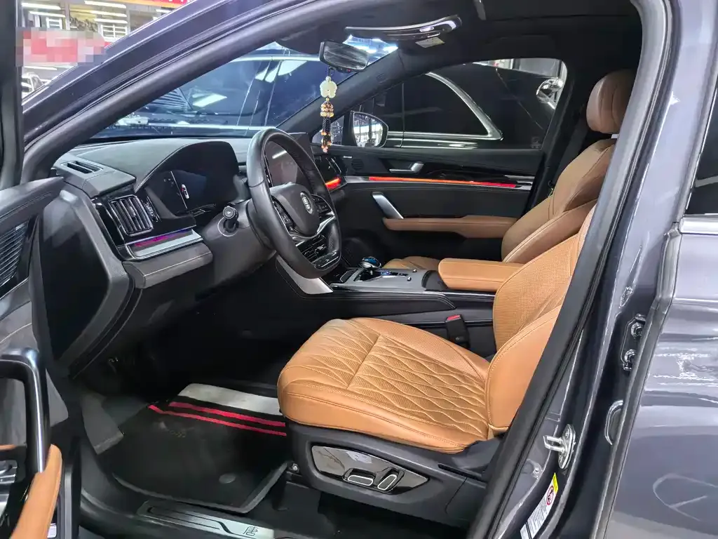 BYD Tang New Energy 2024 из CN, фото 10