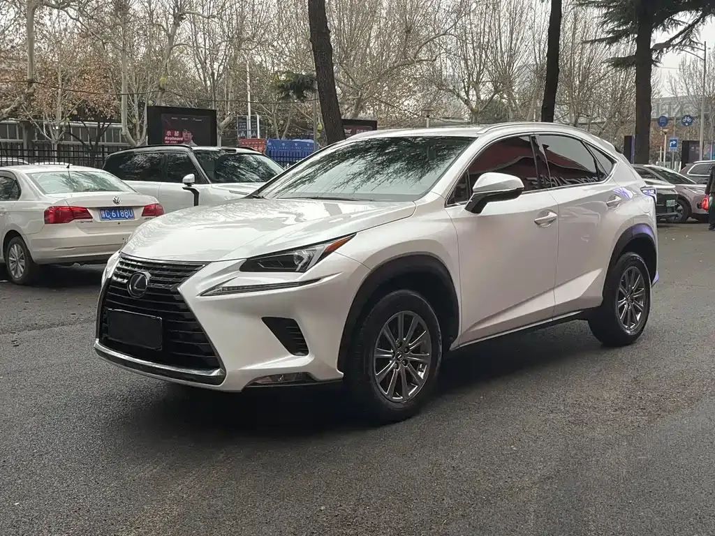 Lexus NX 2021 из CN, фото 1