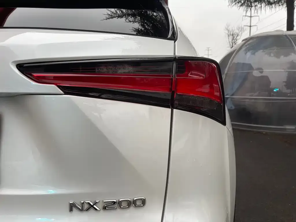 Lexus NX 2021 из CN, фото 6