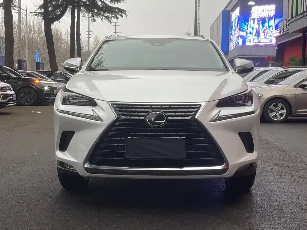 Lexus NX 2021 из CN, фото 3