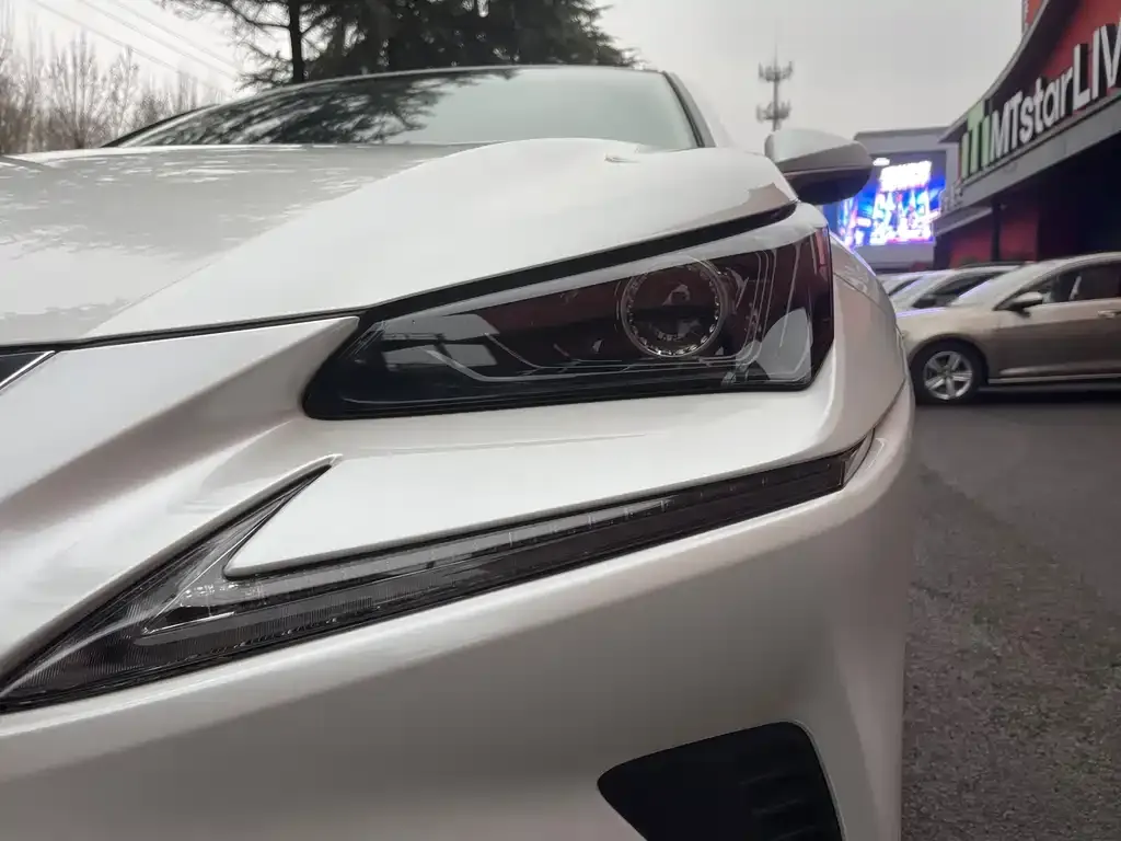 Lexus NX 2021 из CN, фото 10