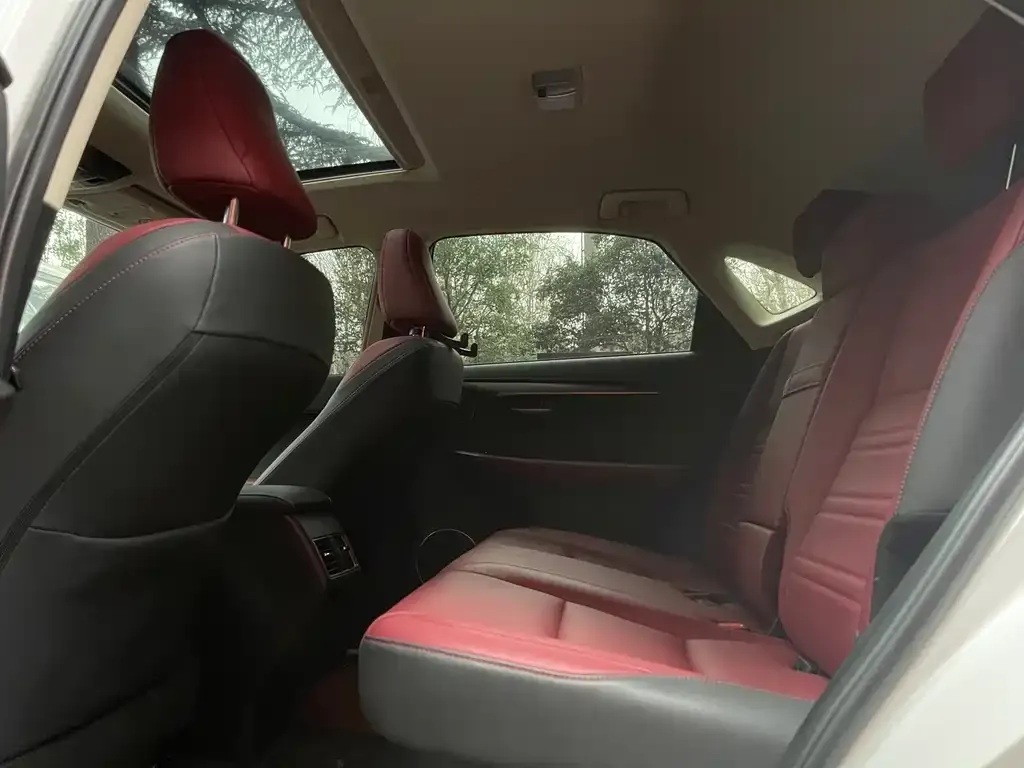 Lexus NX 2021 из CN, фото 5