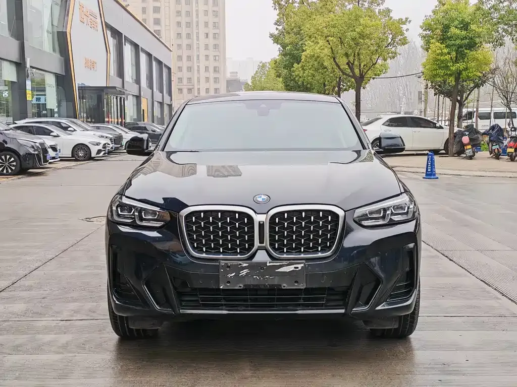 BMW X4 2024 из CN, фото 4