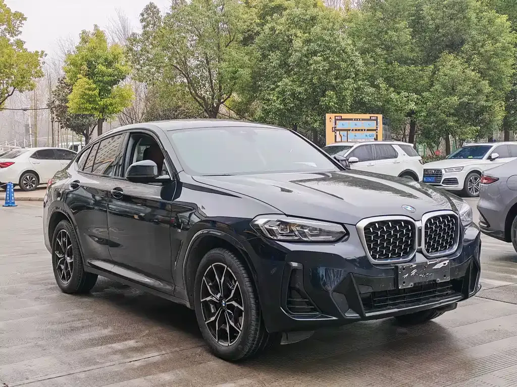 BMW X4 2024 из CN, фото 8