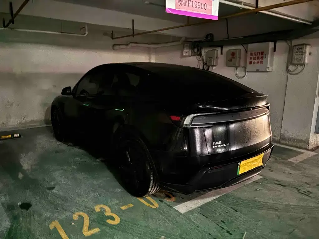 Tesla Model Y — фото 2