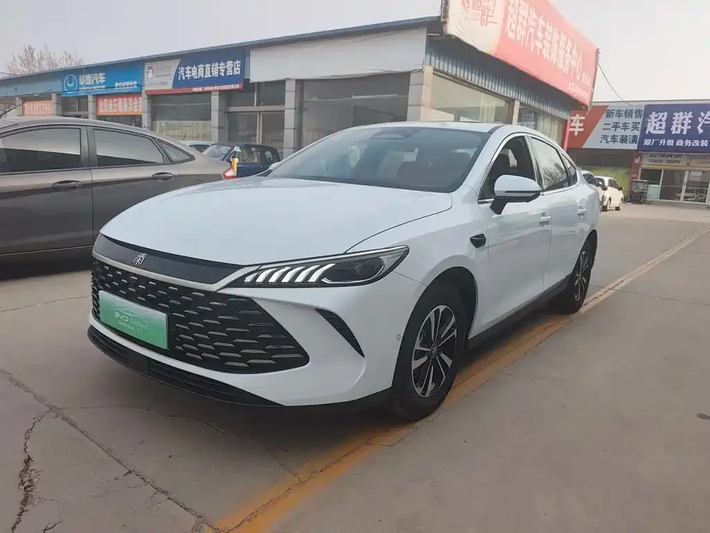 BYD Qin PLUS — фото 1