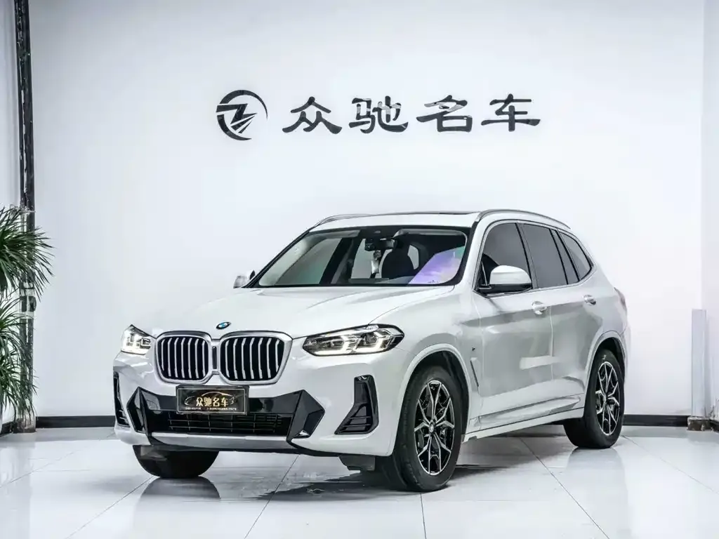 BMW X3 2023 из CN, фото 1