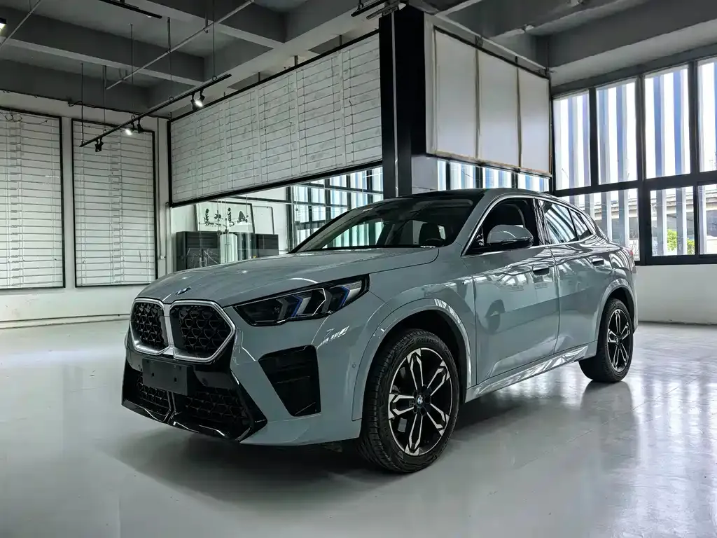 BMW X2 (Import) — фото 1
