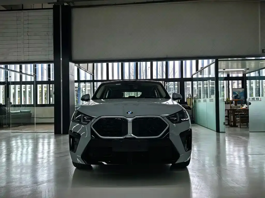 BMW X2 (Import) — фото 4