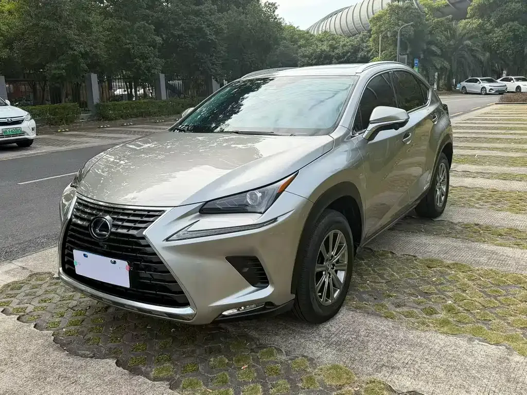 Lexus NX 2021 из CN, фото 1