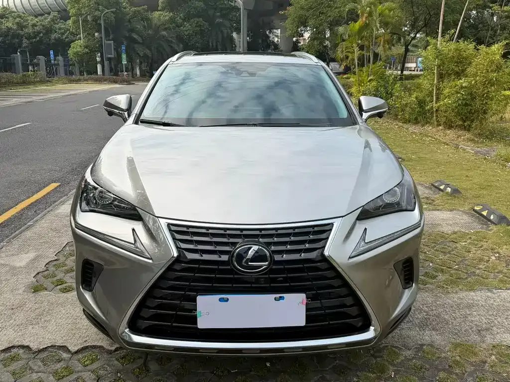 Lexus NX 2021 из CN, фото 8