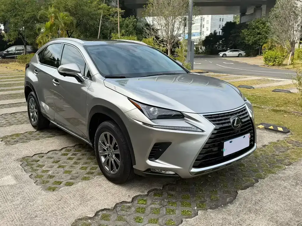 Lexus NX 2021 из CN, фото 7