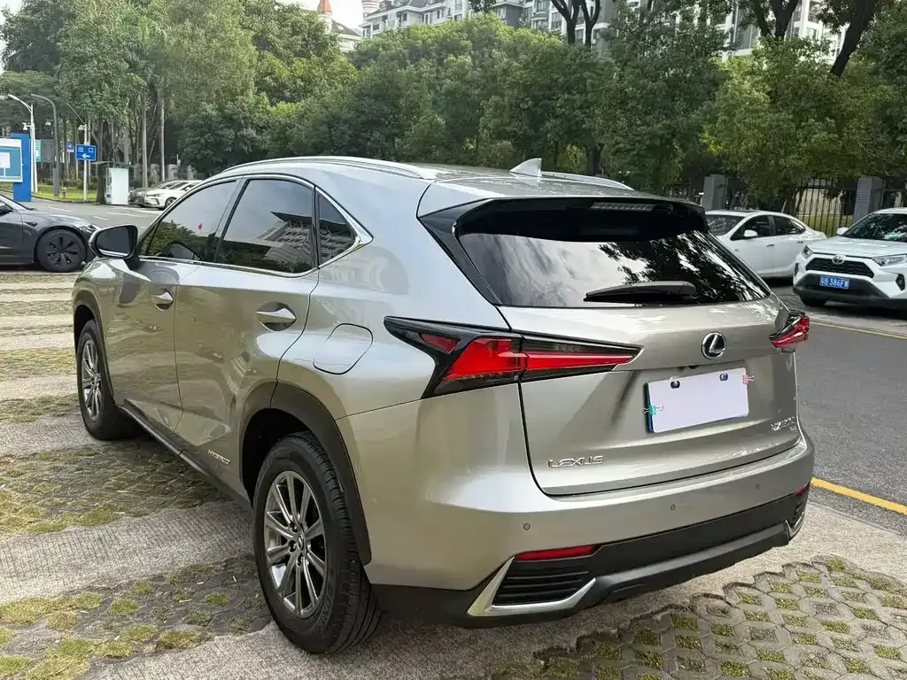 Lexus NX 2021 из CN, фото 5