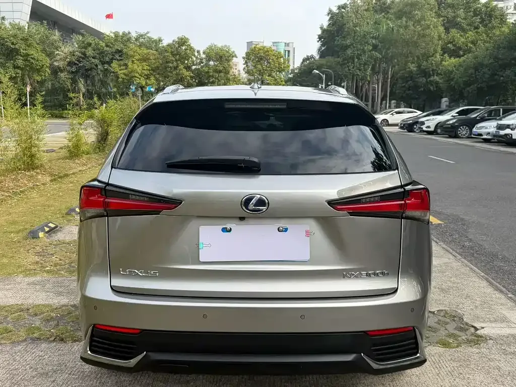 Lexus NX 2021 из CN, фото 6
