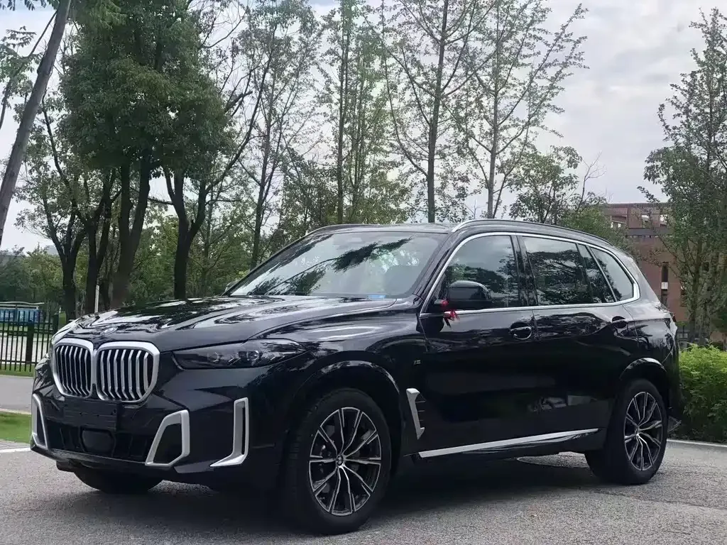 BMW X5 — фото 9
