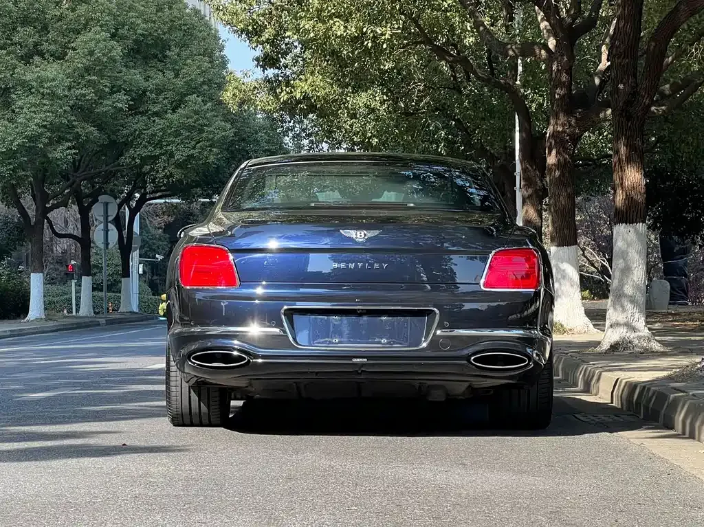 Bentley Flying Spur 2021 из CN, фото 7