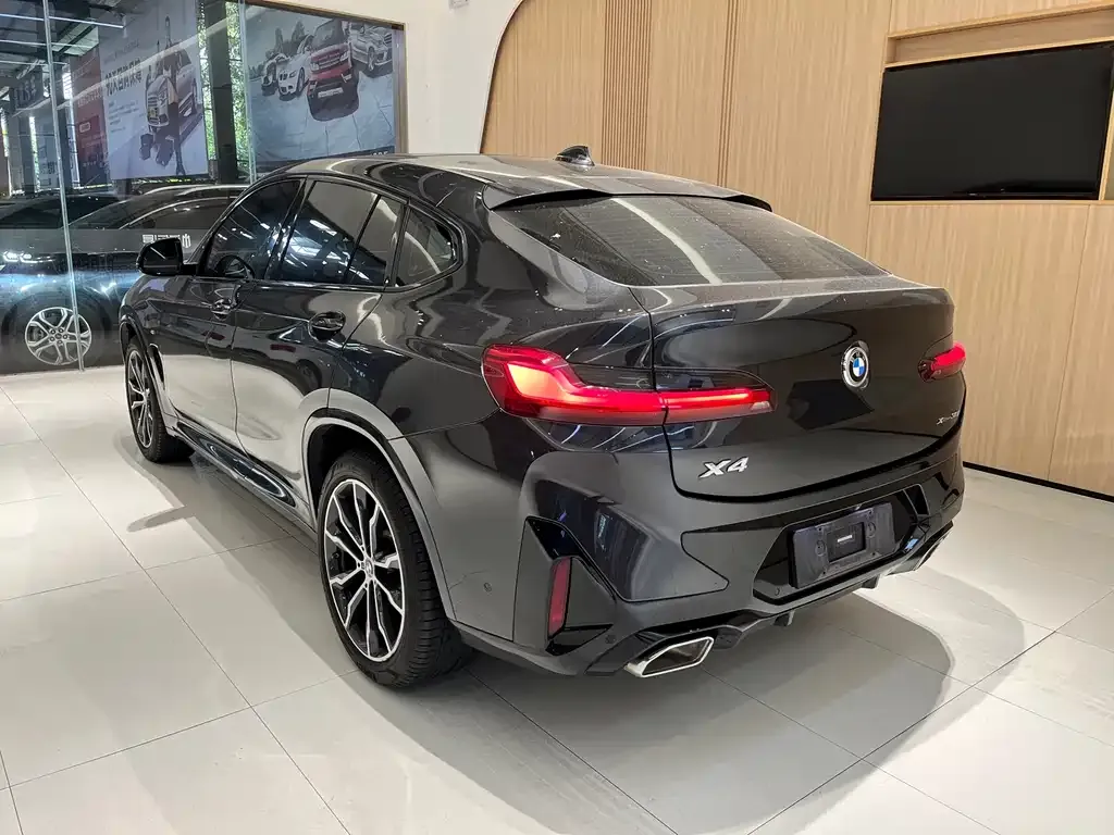 BMW X4 2022 из CN, фото 9