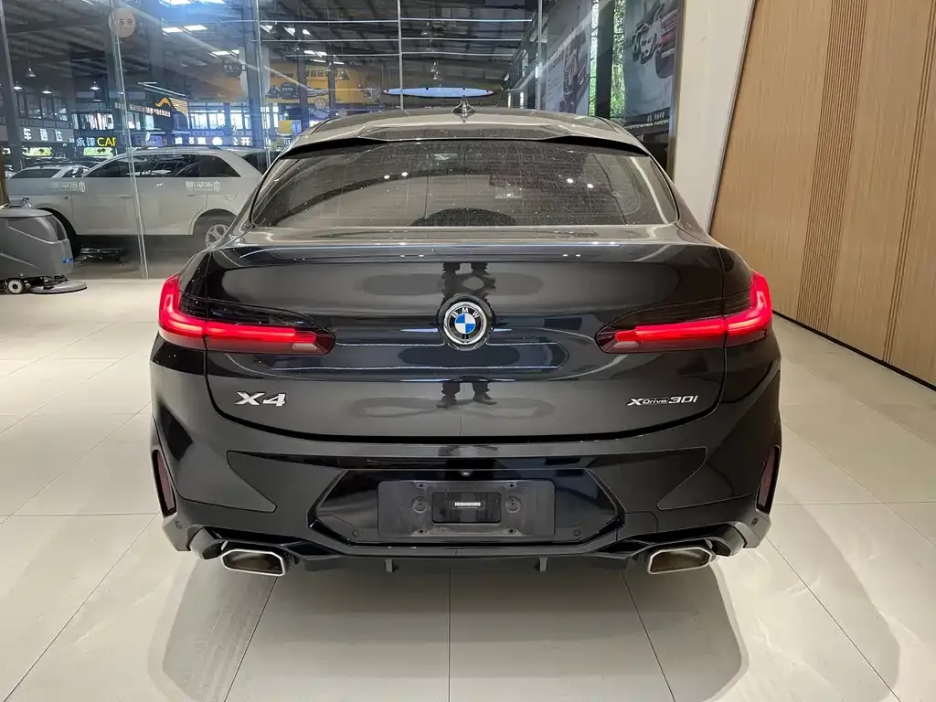 BMW X4 2022 из CN, фото 4