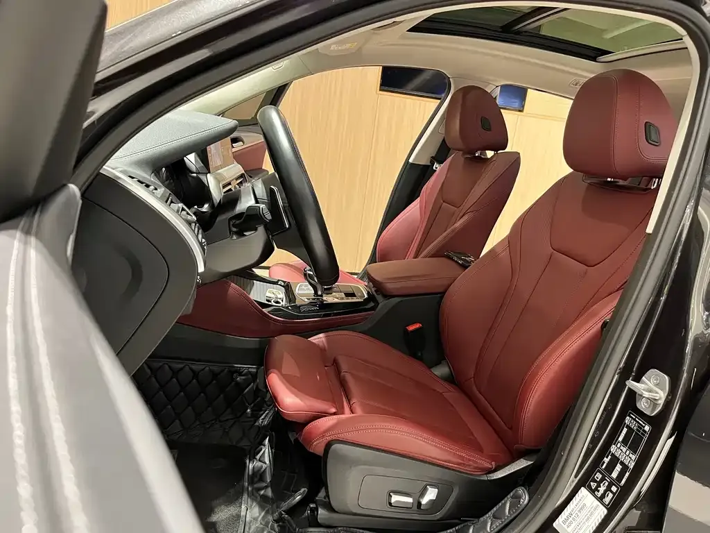 BMW X4 2022 из CN, фото 10