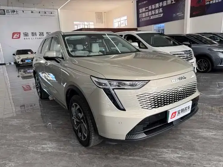 Haval Xiaolong MAX — фото 7