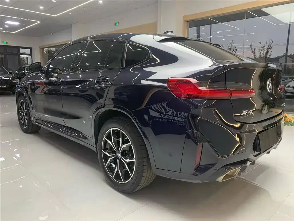 BMW X4 2024 из CN, фото 9