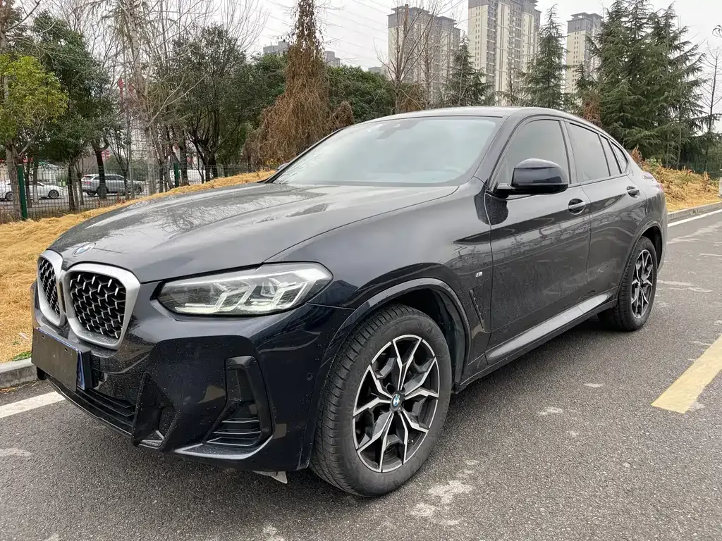 BMW X4 2024 из CN, фото 1