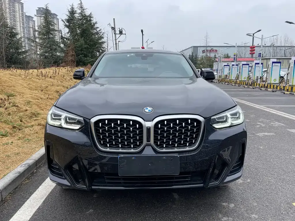BMW X4 2024 из CN, фото 4