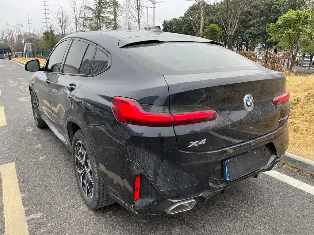BMW X4 2024 из CN, фото 3