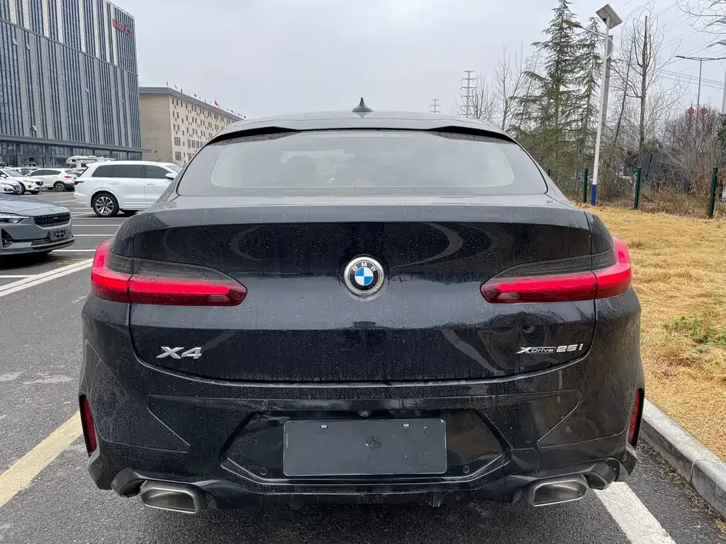 BMW X4 2024 из CN, фото 2