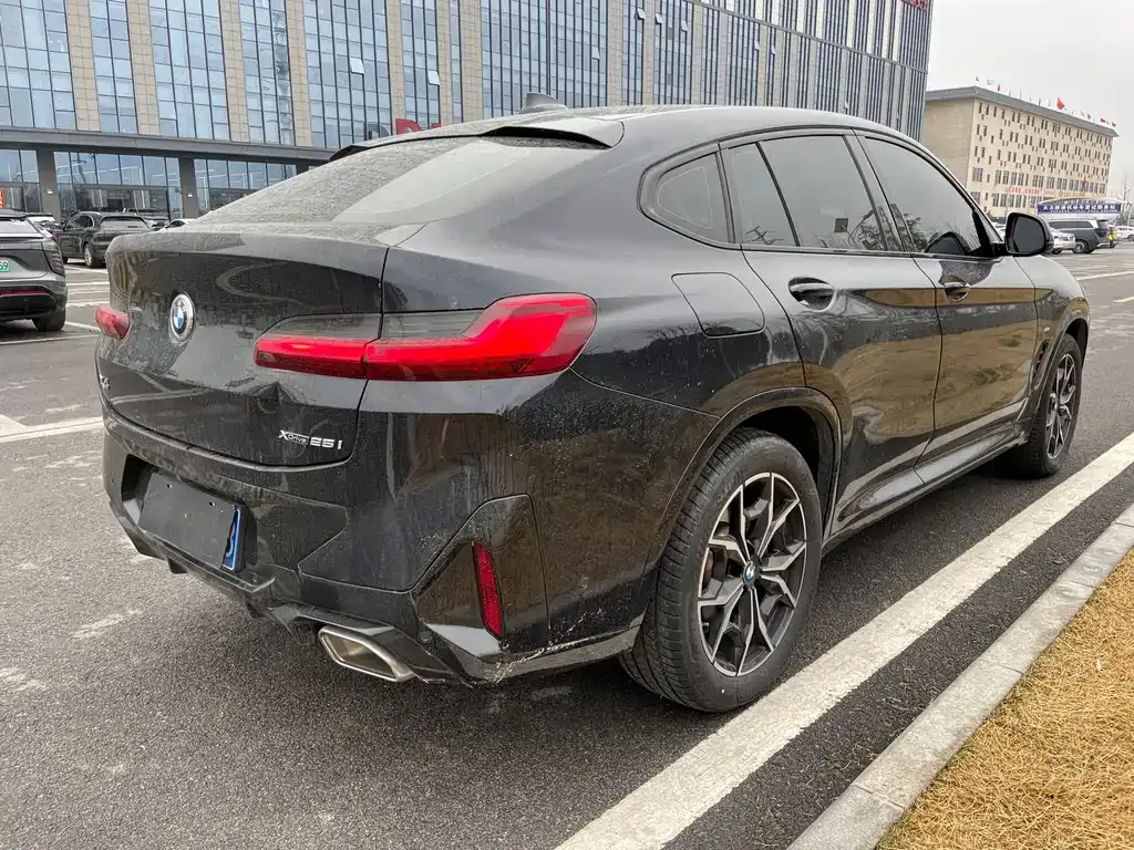 BMW X4 2024 из CN, фото 6