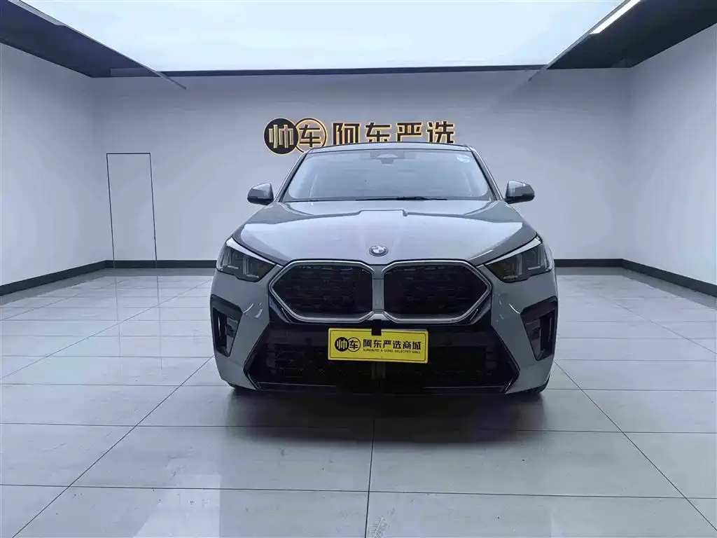 BMW X2 (Import) — фото 1