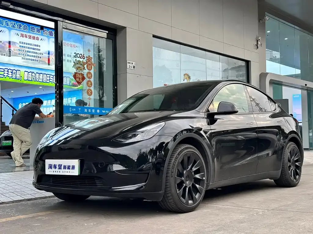 Tesla Model Y — фото 1