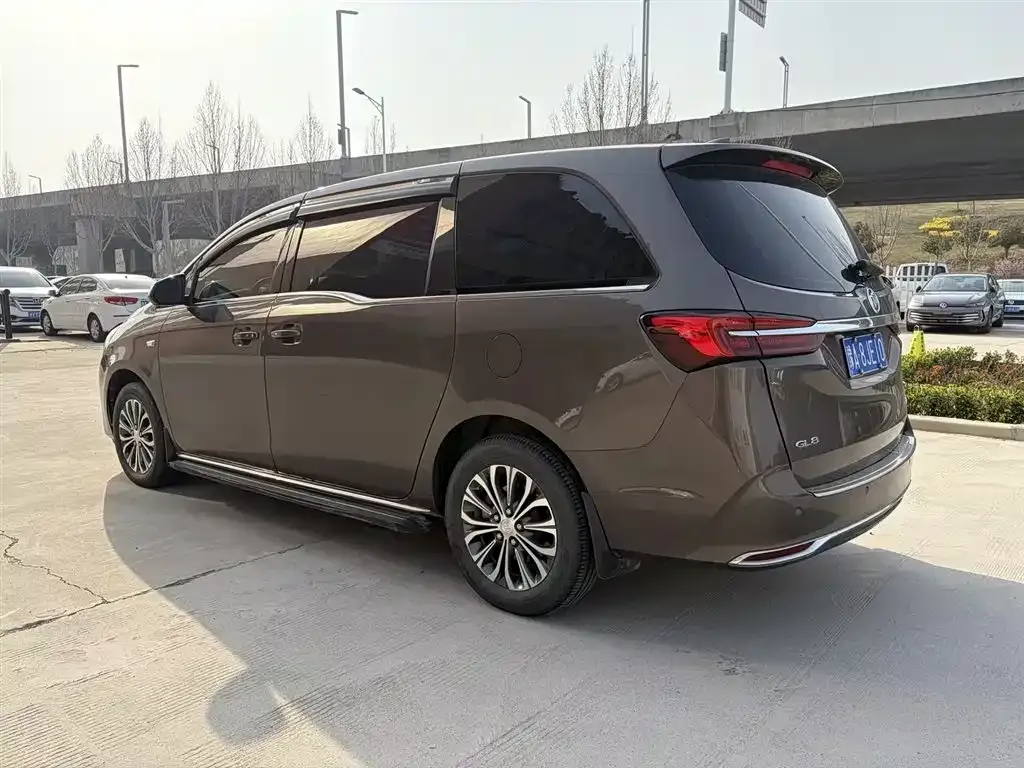 Buick GL8 2024 из CN, фото 10