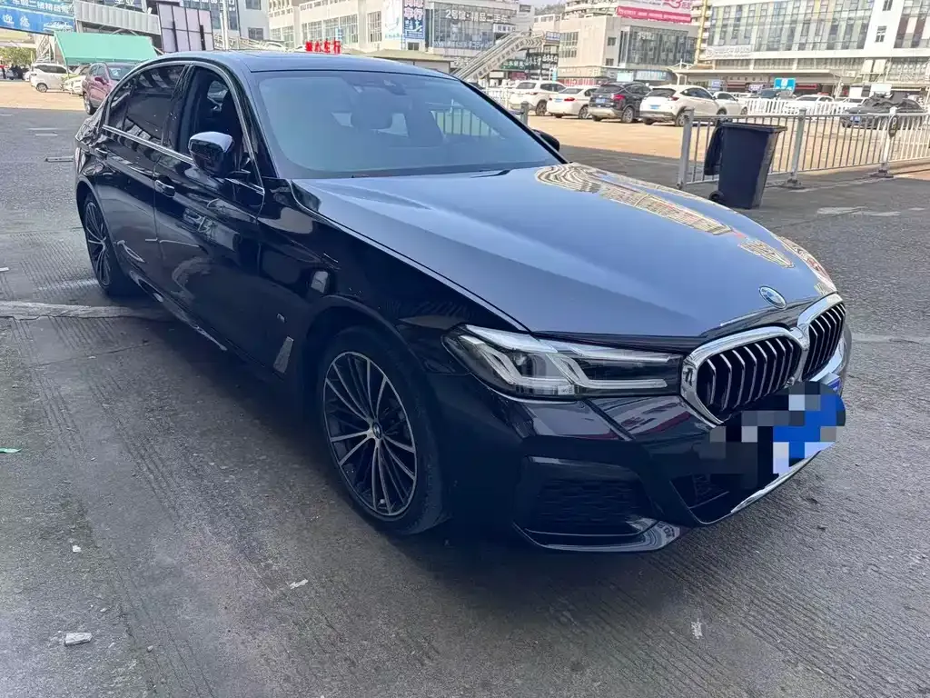 BMW 5 Series 2022 из CN, фото 7