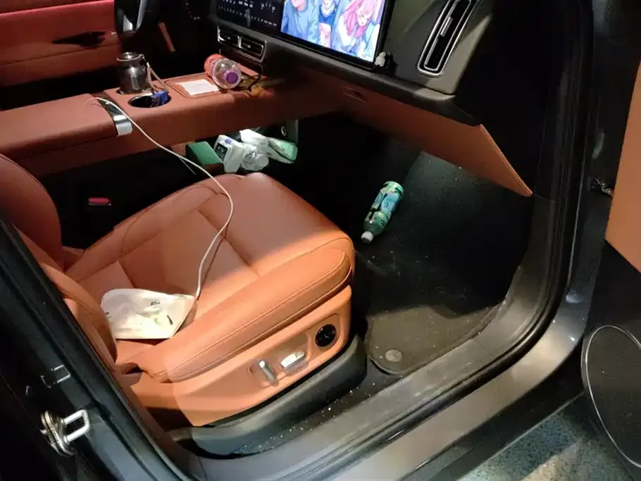 Li Auto Li L6 2024 из CN, фото 6